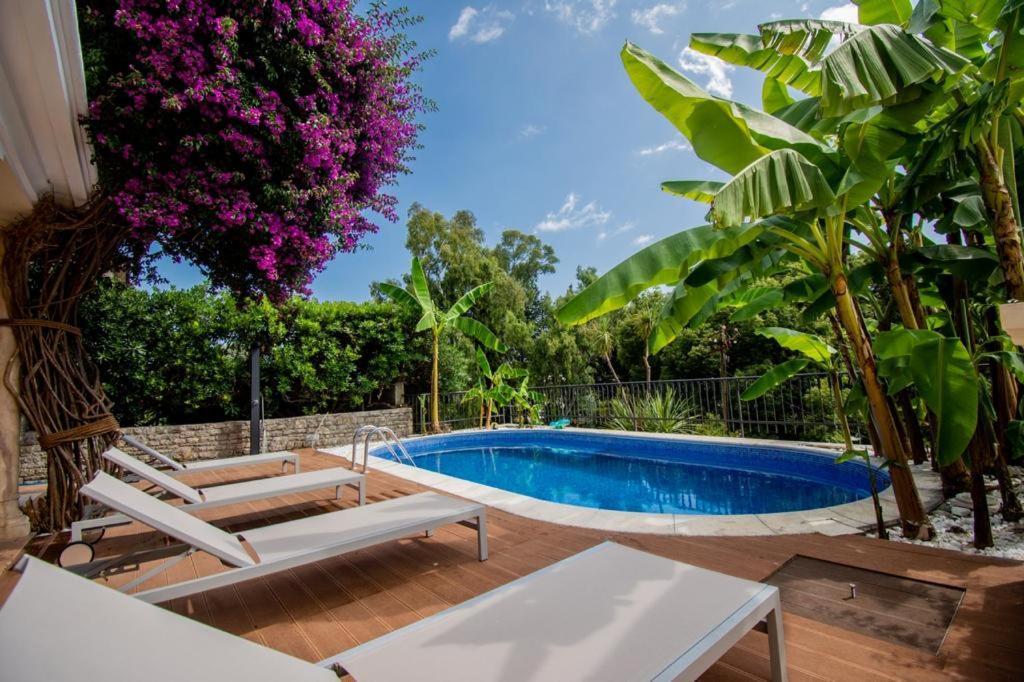 Vila Oliva Herceg Novi Exterior foto