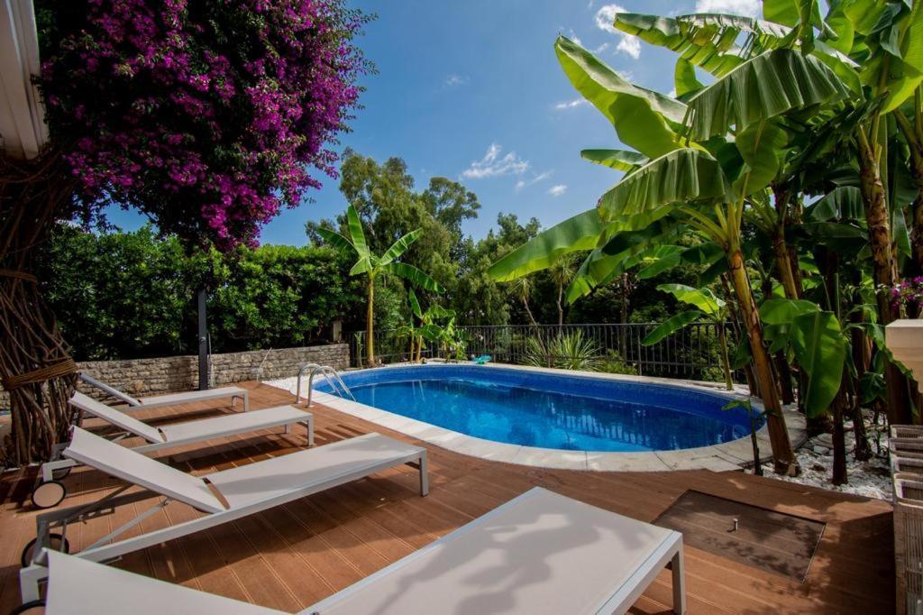 Vila Oliva Herceg Novi Exterior foto
